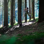 Lipno 50/18
