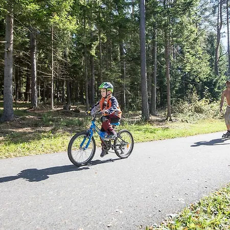 شقة Lipno 50/18