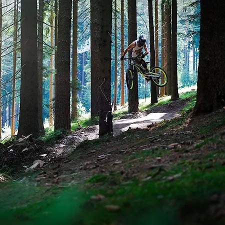 Lipno 50/18