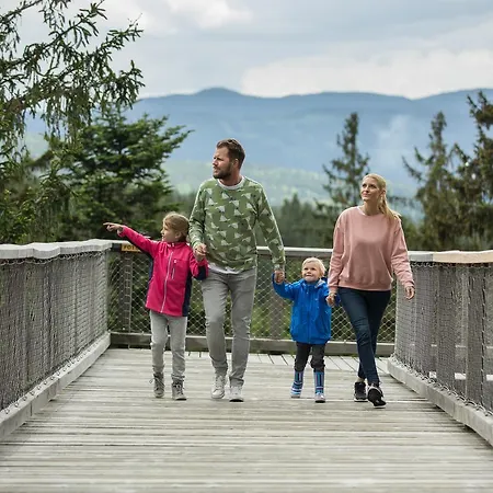 Lipno 50/18 *