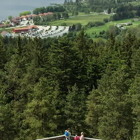 Lipno 50/18 *