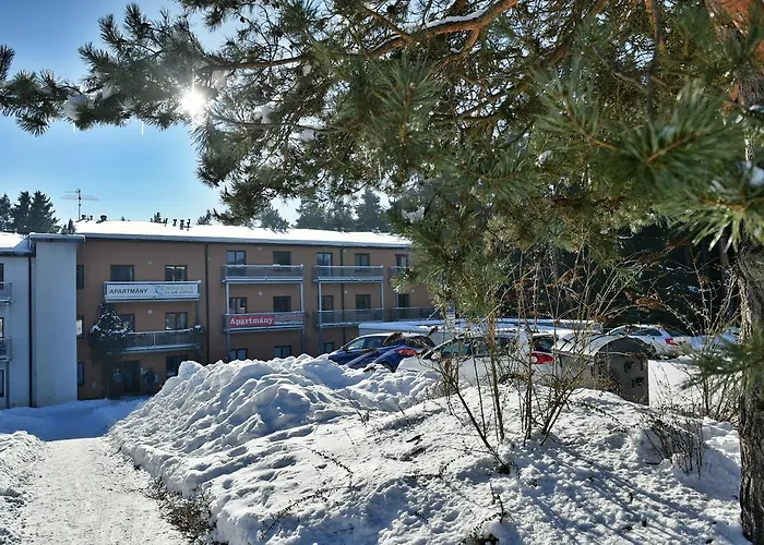 Lipno 50/18 公寓 *