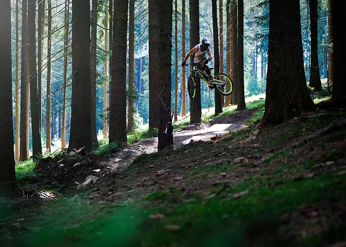 Lipno 50/18