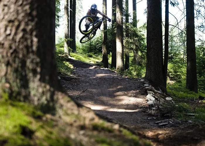 Lipno 50/18 伏尔塔瓦河畔利普诺