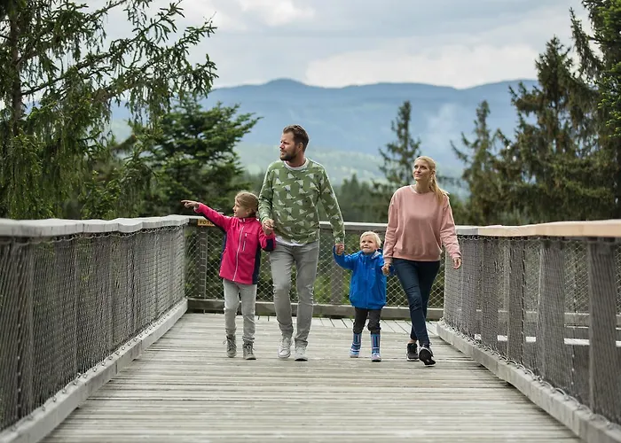 Lipno 50/18 *