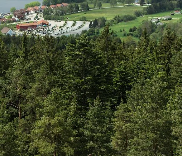 Lipno 50/18 *