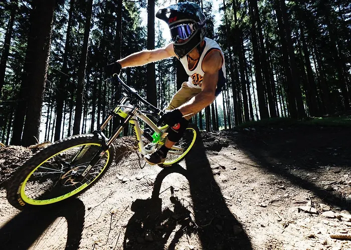 Lipno 50/18