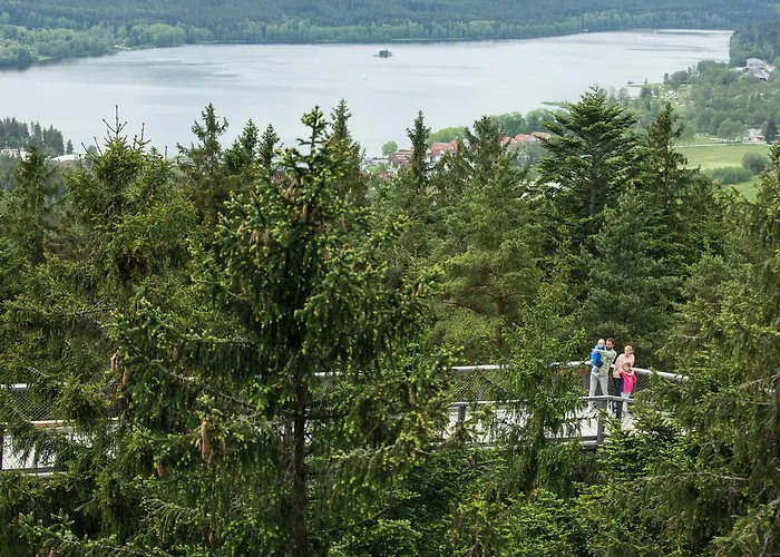 Lipno 50/18 公寓 伏尔塔瓦河畔利普诺