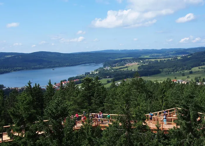Lipno 50/18 公寓 *
