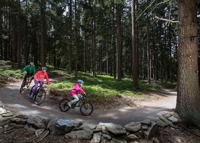 公寓 Lipno 50/18 *